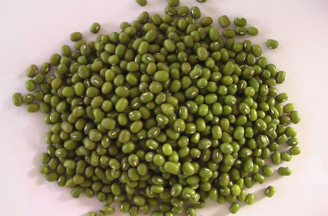 पूसा विशाल